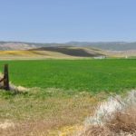 antelope-valley antelope-valley